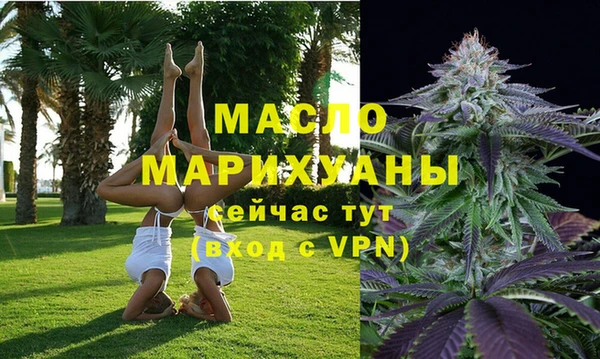 дмт Богданович